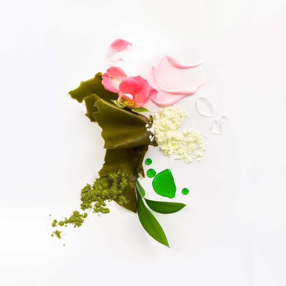Tata Harper Europe | Bio-Barrier Serum - NaturelleShop.com