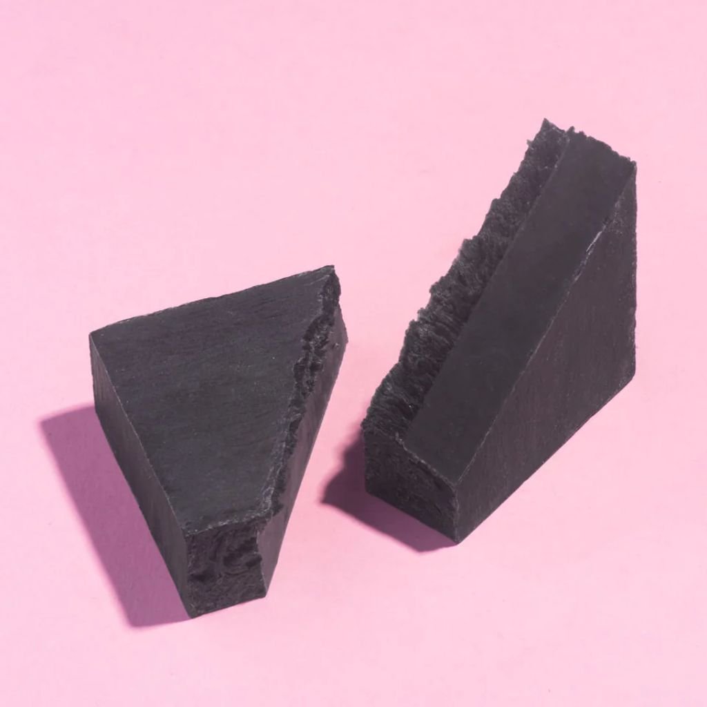 Coconut Charcoal Purifying Facial Soap - NaturelleShop.com - Earth Harbor