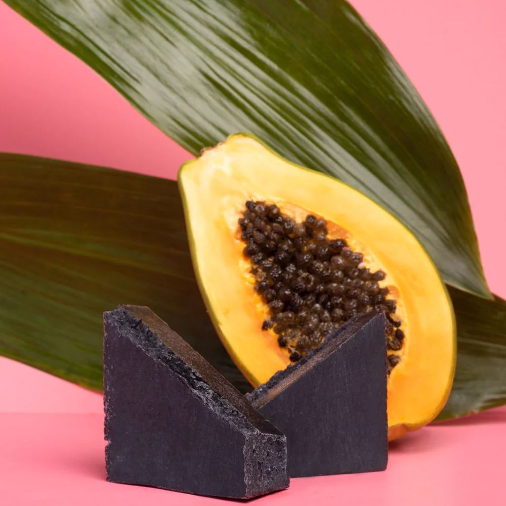 Coconut Charcoal Purifying Facial Soap - NaturelleShop.com - Earth Harbor