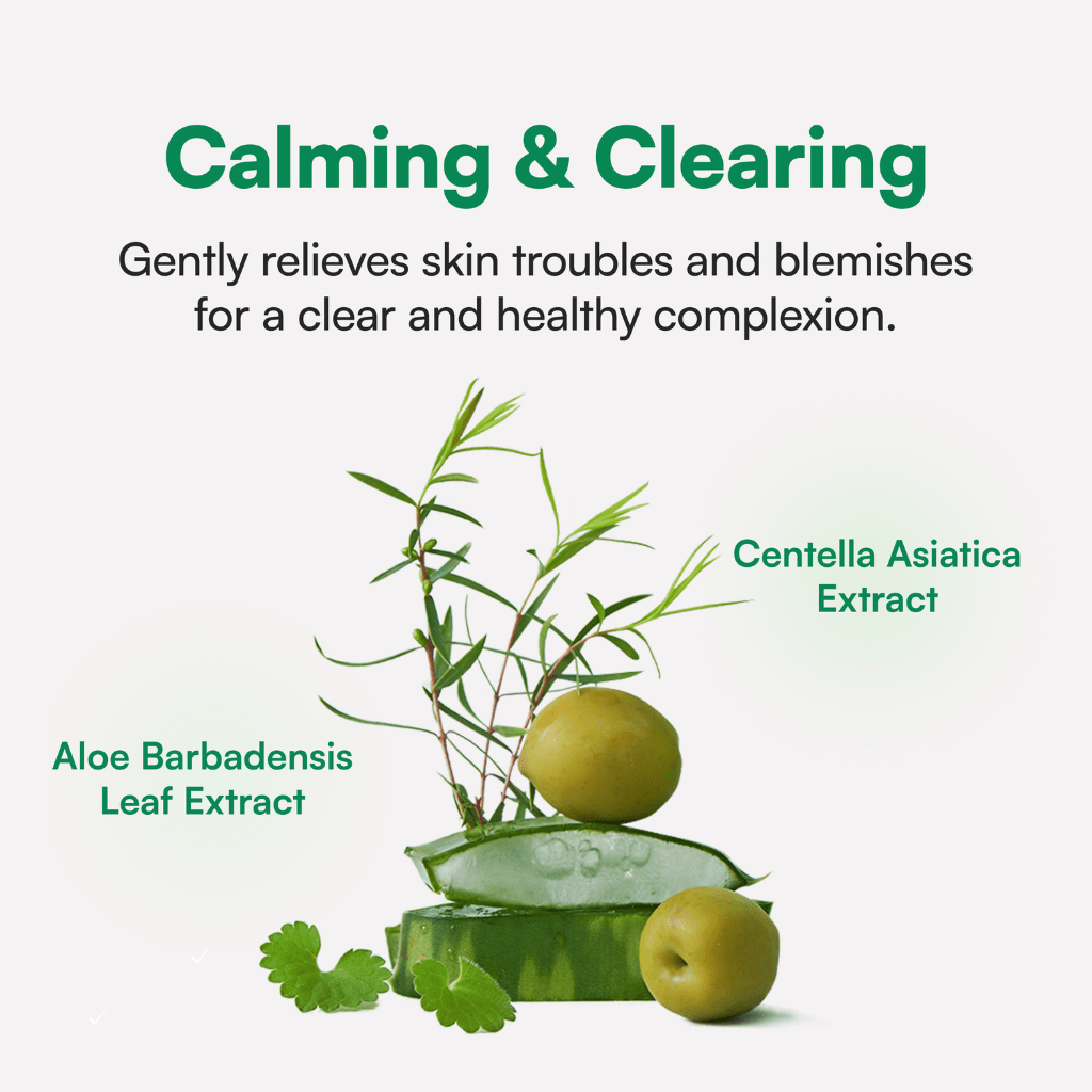 Calming Care AHA/BHA Moisturizer - NaturelleShop.com - Face Republic