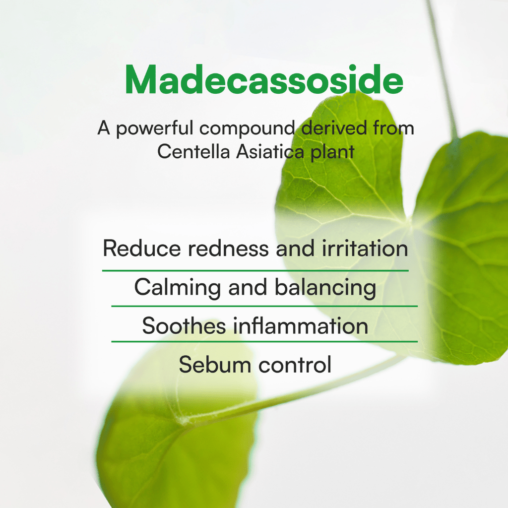 Calming Tea Tree Madecassoside Serum - NaturelleShop.com - Face Republic