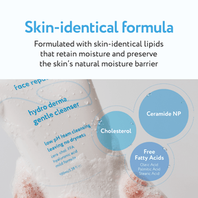 Hydro Derma Foam Cleanser - NaturelleShop.com - Face Republic