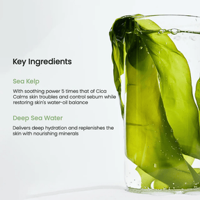 Refreshing Sea Kelp Real Deep Mask - NaturelleShop.com - Biodance