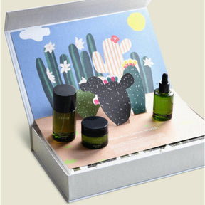 Whamisa | Fresh Cactus Kit - NaturelleShop.com
