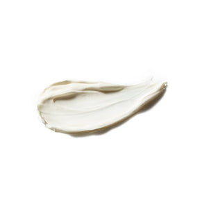 Vanilla Pod Hydrating Day Cream - NaturelleShop.com - Antipodes